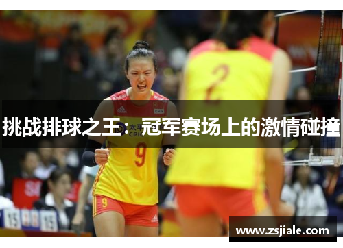 挑战排球之王：冠军赛场上的激情碰撞