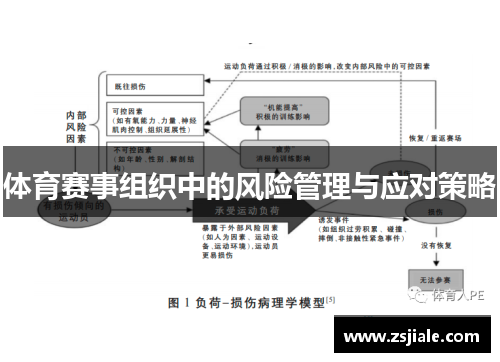 体育赛事组织中的风险管理与应对策略