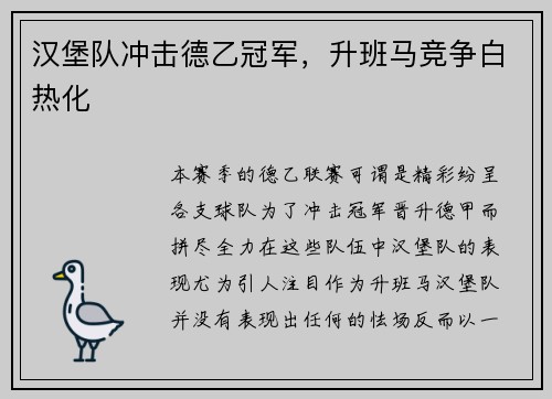 汉堡队冲击德乙冠军，升班马竞争白热化